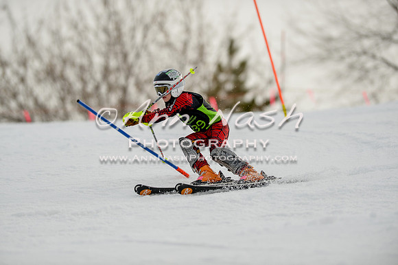 alpine-Feb19-2017-DSC_0667