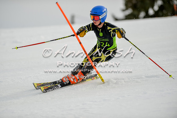 alpine-Feb19-2017-DSC_0488