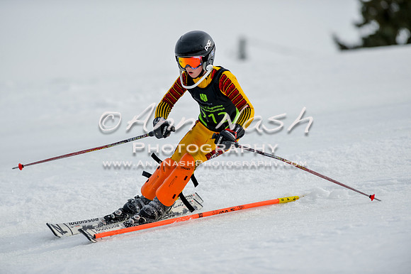 alpine-Feb19-2017-DSC_0941