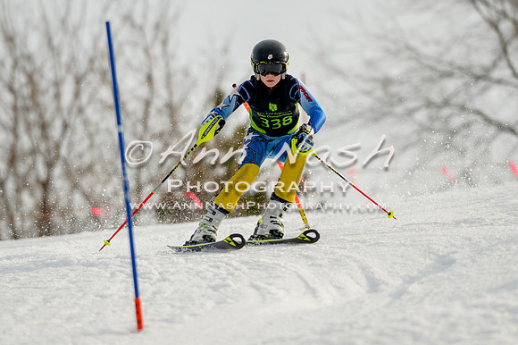 alpine-Feb19-2017-DSC_1283