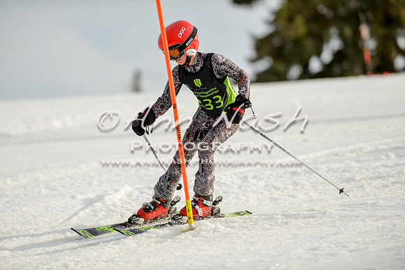 alpine-Feb19-2017-DSC_1414