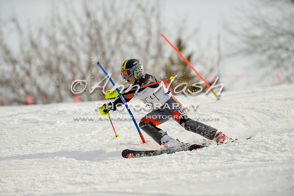 alpine-Feb19-2017-DSC_1357