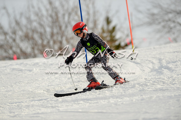 alpine-Feb19-2017-DSC_1411