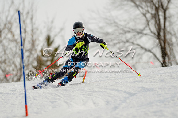 alpine-Feb19-2017-DSC_1211