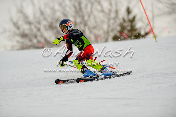 alpine-Feb19-2017-DSC_0625
