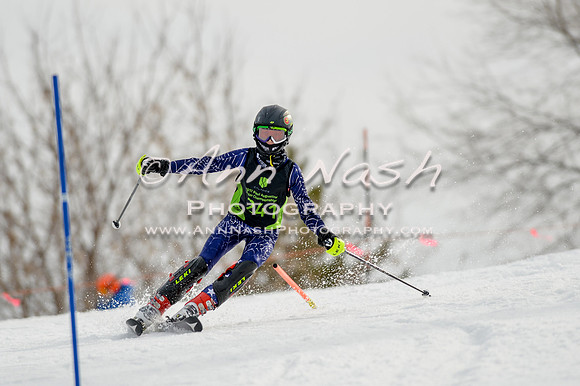 alpine-Feb19-2017-DSC_0323