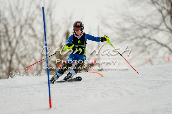 alpine-Feb19-2017-DSC_0776
