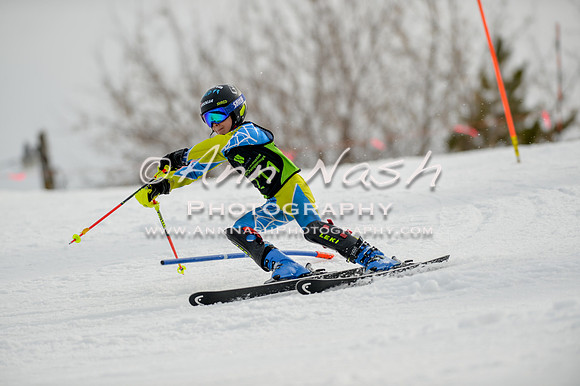 alpine-Feb19-2017-DSC_0334