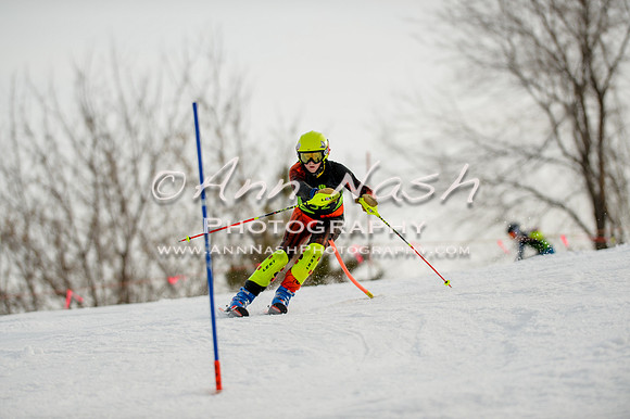 alpine-Feb19-2017-DSC_0996