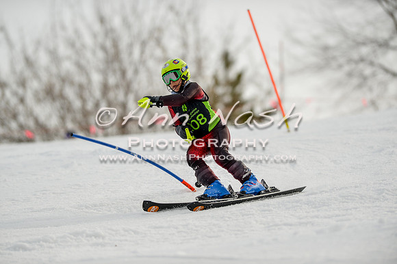 alpine-Feb19-2017-DSC_0852