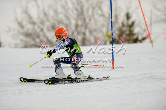 alpine-Feb19-2017-DSC_0468