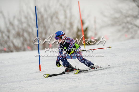 alpine-Feb19-2017-DSC_0394