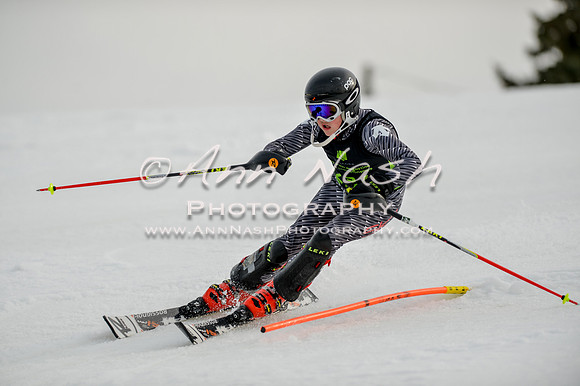 alpine-Feb19-2017-DSC_0553