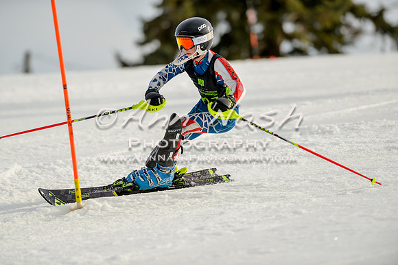 alpine-Feb19-2017-DSC_1397