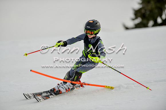 alpine-Feb19-2017-DSC_0617