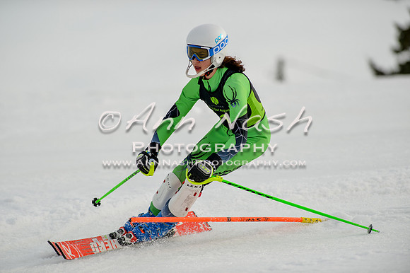 alpine-Feb19-2017-DSC_1024