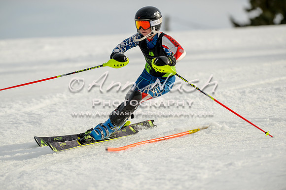 alpine-Feb19-2017-DSC_1399