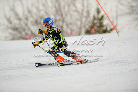 alpine-Feb19-2017-DSC_0486