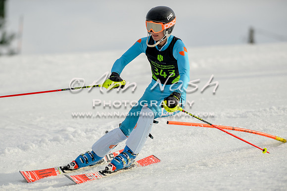 alpine-Feb19-2017-DSC_1300