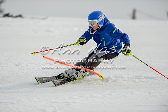 alpine-Feb19-2017-DSC_0248