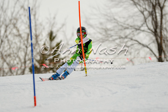 alpine-Feb19-2017-DSC_0765