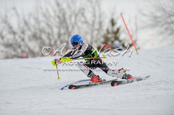 alpine-Feb19-2017-DSC_1106