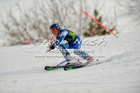alpine-Feb19-2017-DSC_1162