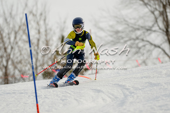 alpine-Feb19-2017-DSC_1235