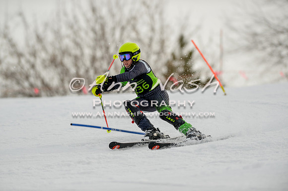 alpine-Feb19-2017-DSC_0728