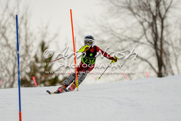 alpine-Feb19-2017-DSC_0662