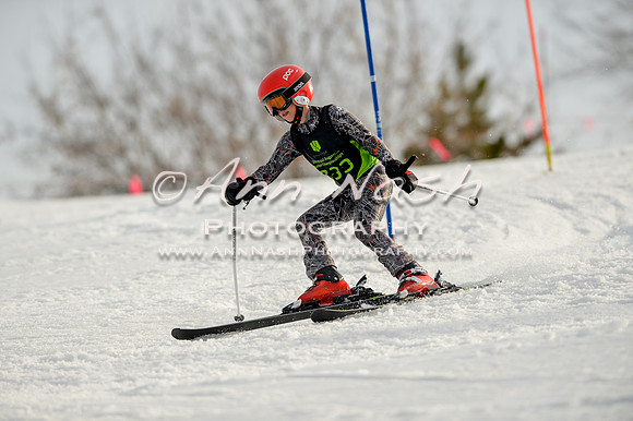 alpine-Feb19-2017-DSC_1412