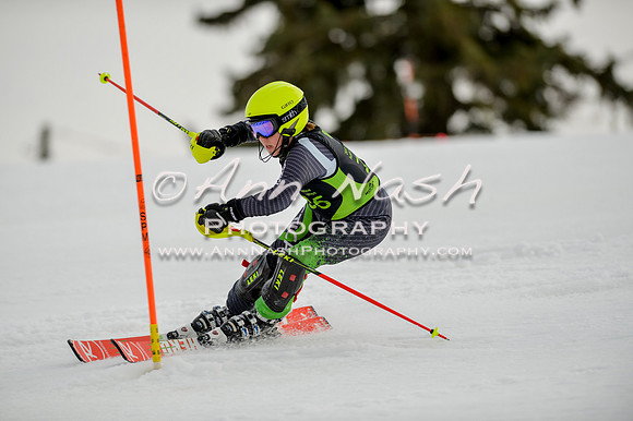 alpine-Feb19-2017-DSC_0730
