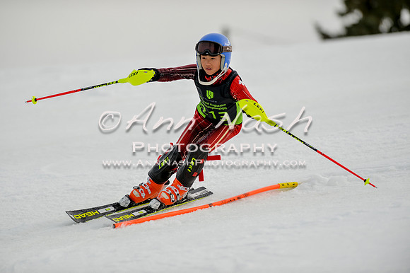 alpine-Feb19-2017-DSC_0591