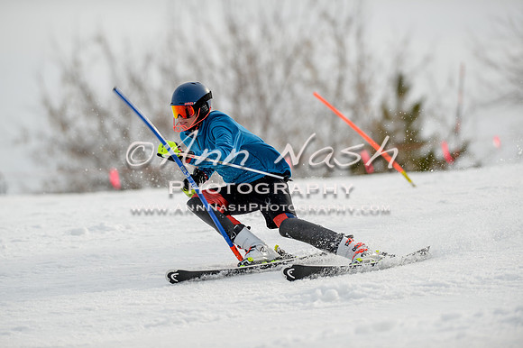 alpine-Feb19-2017-DSC_0261