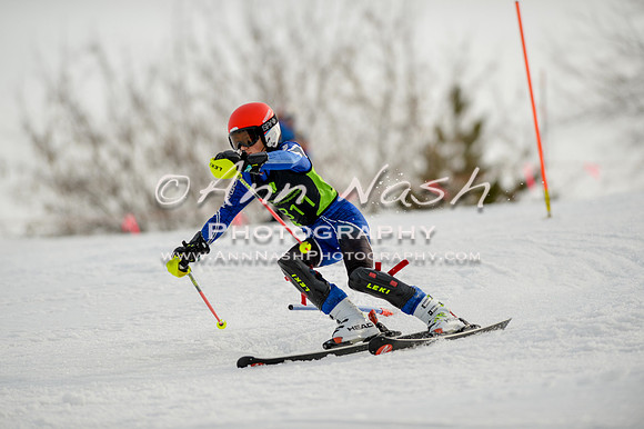 alpine-Feb19-2017-DSC_1136