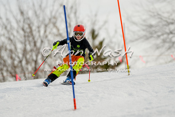 alpine-Feb19-2017-DSC_0904