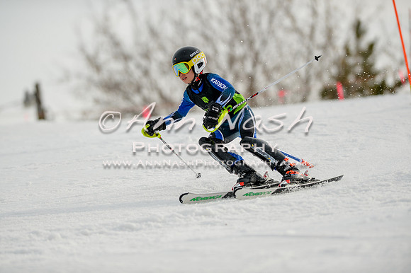 alpine-Feb19-2017-DSC_0925