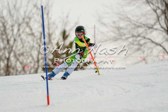 alpine-Feb19-2017-DSC_0766