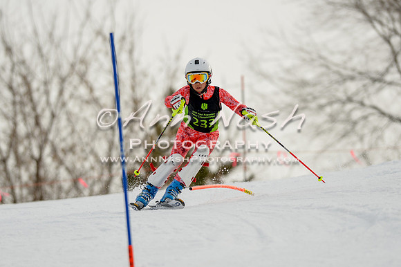 alpine-Feb19-2017-DSC_0706