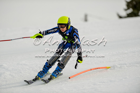alpine-Feb19-2017-DSC_0799