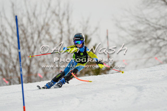 alpine-Feb19-2017-DSC_0330
