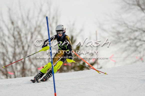 alpine-Feb19-2017-DSC_0839