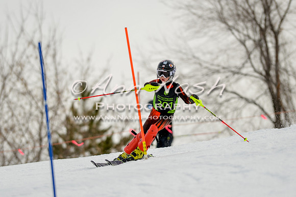 alpine-Feb19-2017-DSC_0431