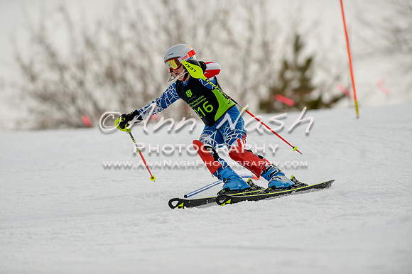 alpine-Feb19-2017-DSC_0715