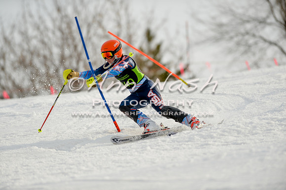 alpine-Feb19-2017-DSC_1308