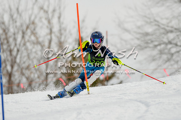 alpine-Feb19-2017-DSC_0314
