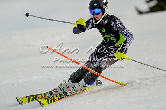 alpine-Feb19-2017-DSC_1151