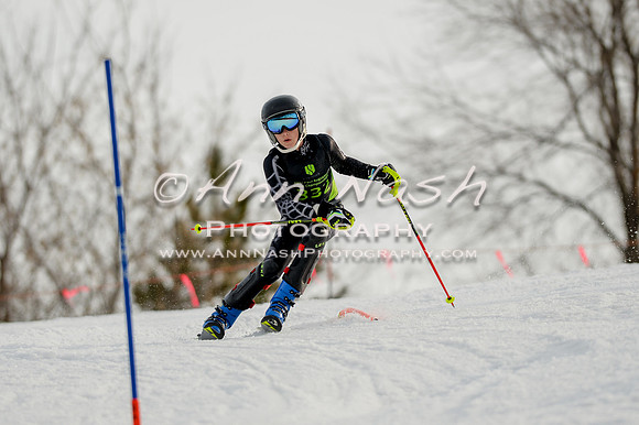 alpine-Feb19-2017-DSC_1176