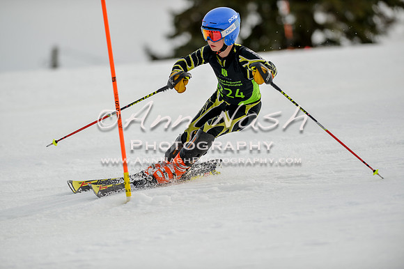 alpine-Feb19-2017-DSC_0487