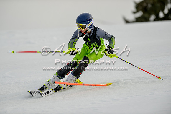 alpine-Feb19-2017-DSC_0571